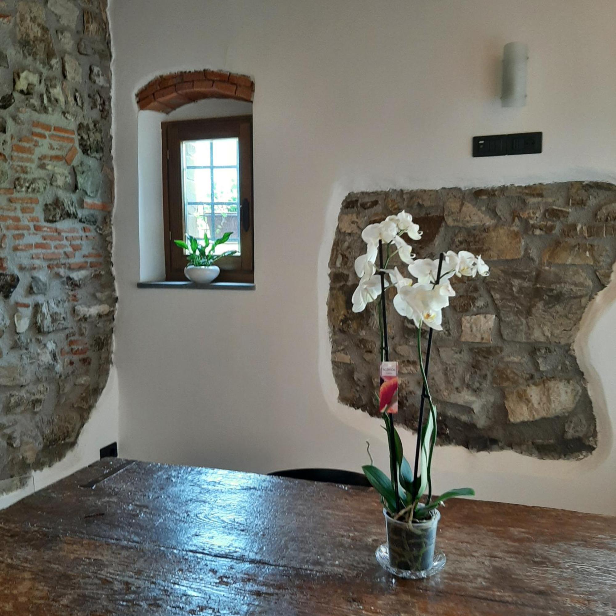 Affittacamere Il Vecchio Mandorlo Куаррата Экстерьер фото