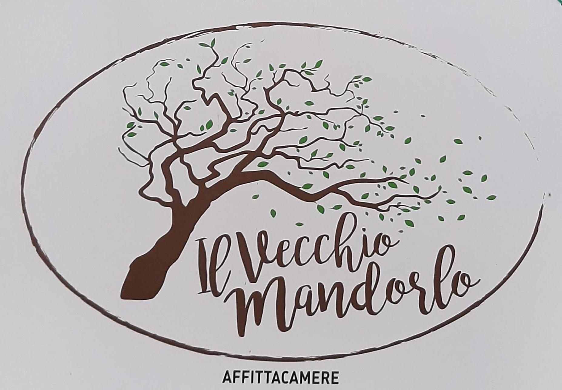 Affittacamere Il Vecchio Mandorlo Куаррата Экстерьер фото
